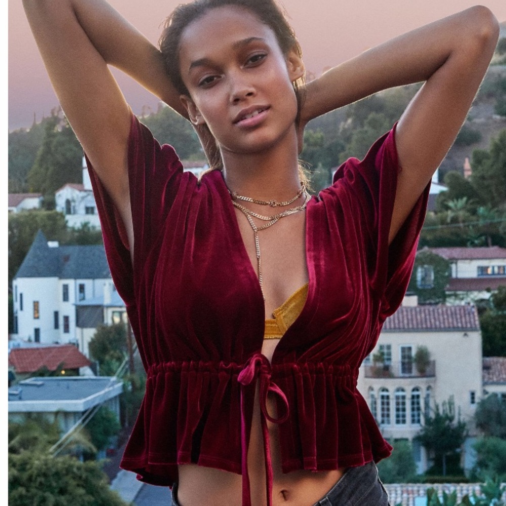 Velvet silver cropped tie-front top